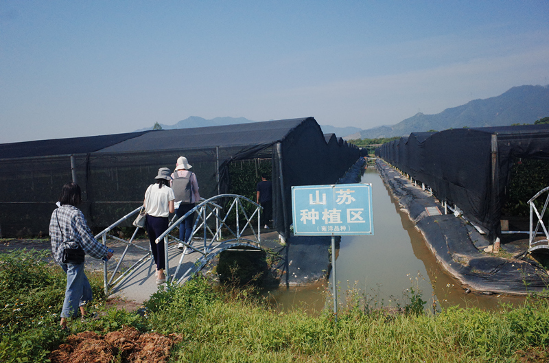 3044永利