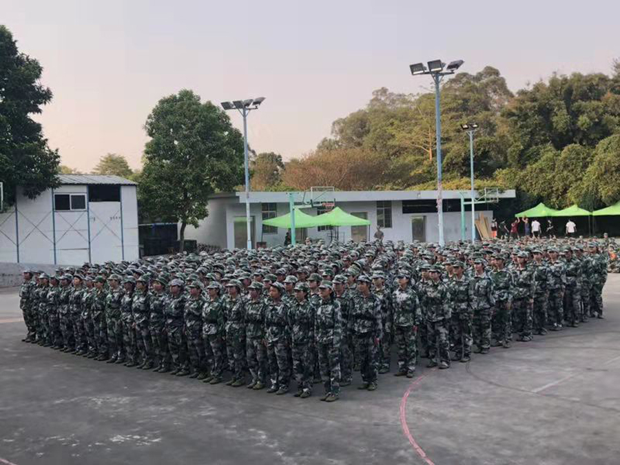 3044永利