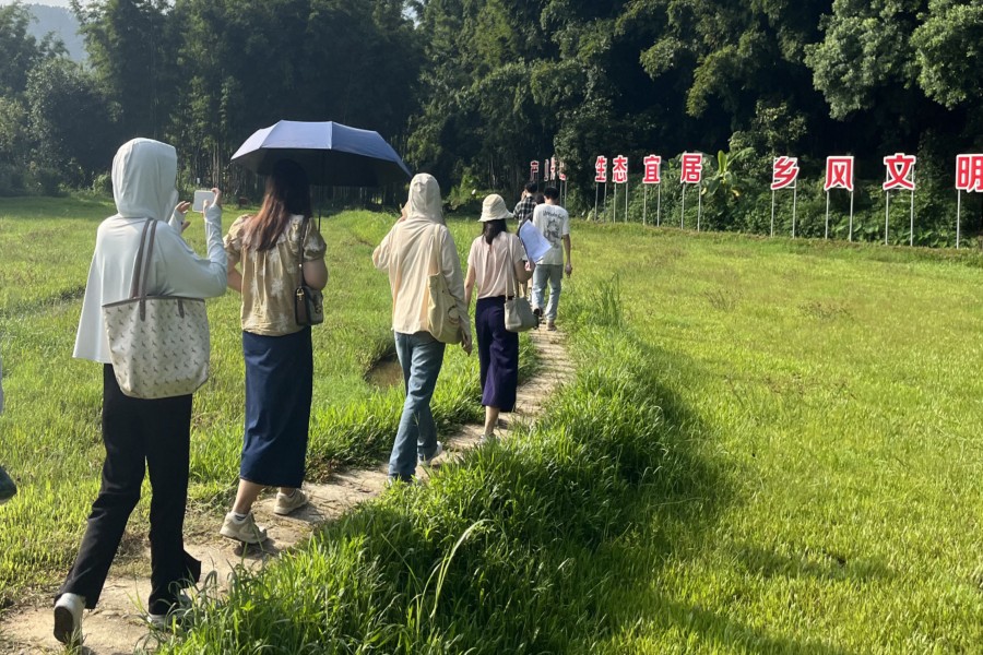 3044永利
